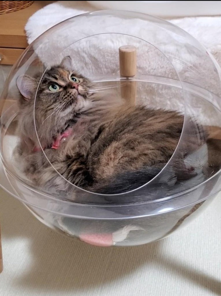 肉球が見える地球型カプセル猫ベッド - MOFUCAT